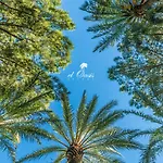 El Oasis * La Eliana