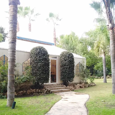 El Oasis *