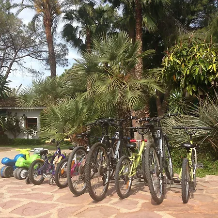 El Oasis