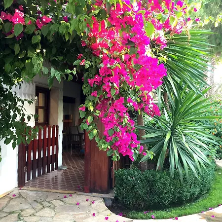 El Oasis * Ля Элиана
