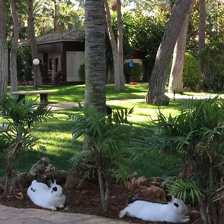 Вилла El Oasis *