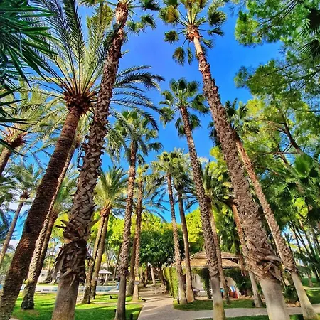 El Oasis Villa L'Eliana