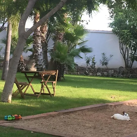 El Oasis La Eliana