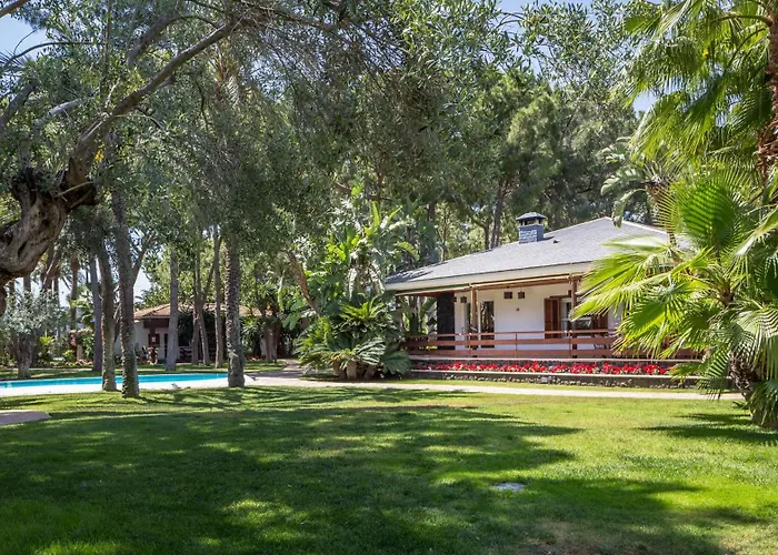 El Oasis فيلة