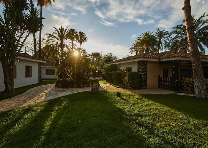 El Oasis *