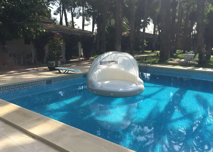El Oasis فيلة *