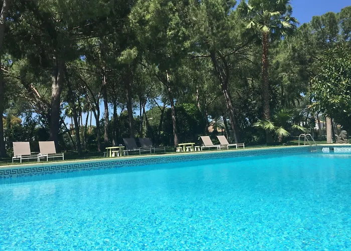 El Oasis فيلة *