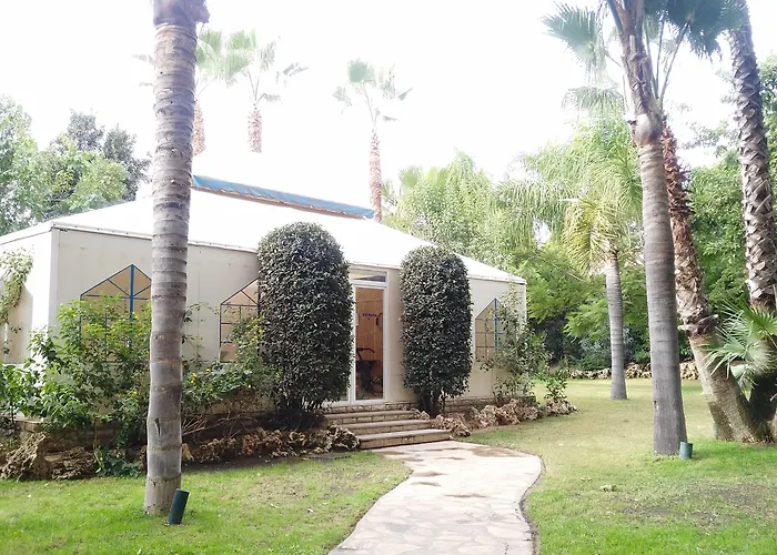El Oasis *
