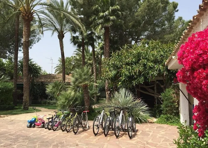 فيلة El Oasis *