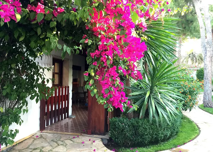 El Oasis * لا إليانا
