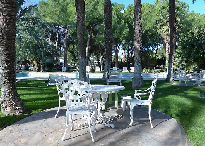 El Oasis فيلة