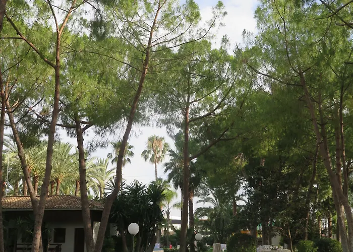 فيلة El Oasis *