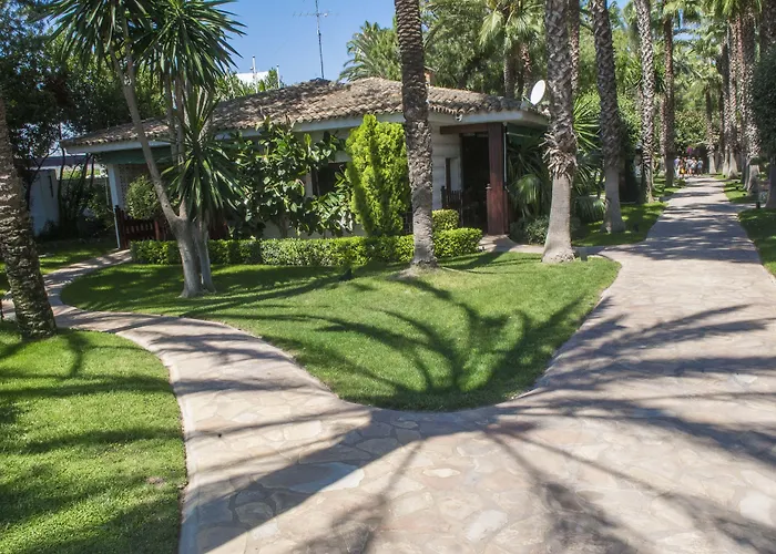 فيلة El Oasis