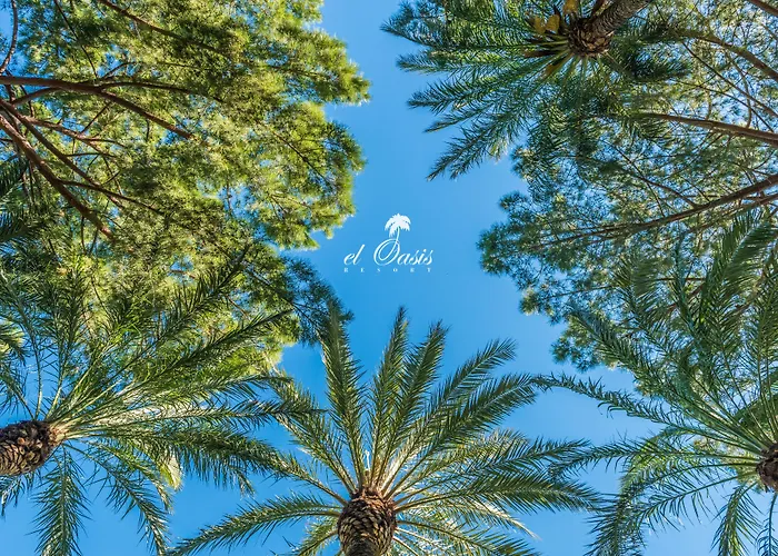El Oasis * لا إليانا